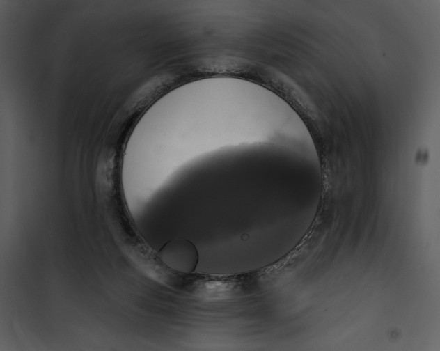 X0000101230163200807181611