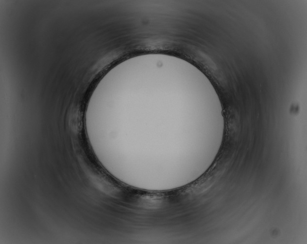 X0000101230164200807181611