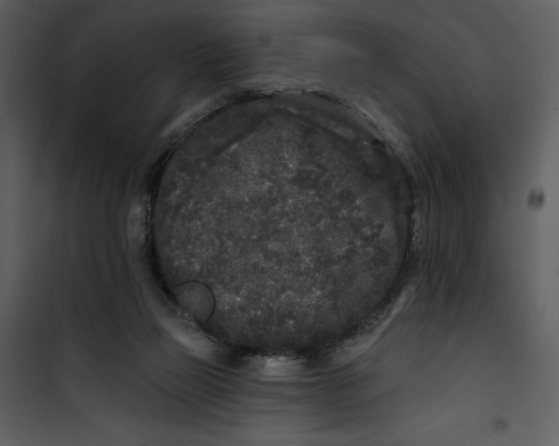 X0000101230165200807181611