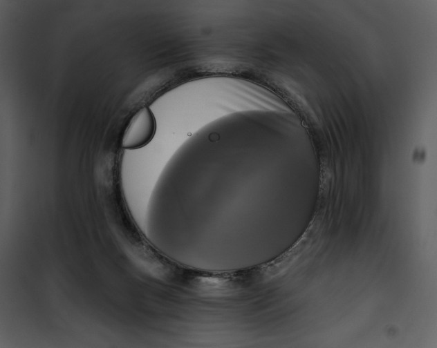 X0000101230167200807181611