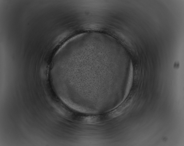 X0000101230168200807181611