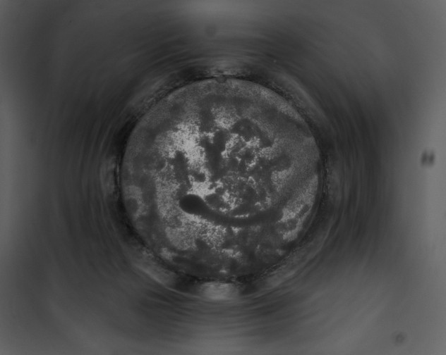 X0000101230169200807181611