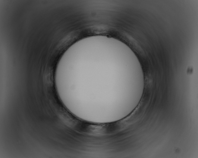 X0000101230170200807181611