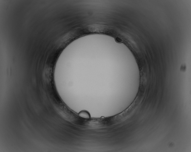 X0000101230171200807181611