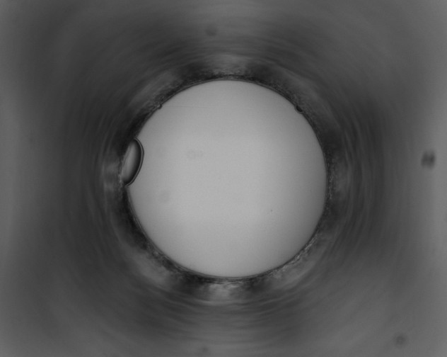 X0000101230172200807181611