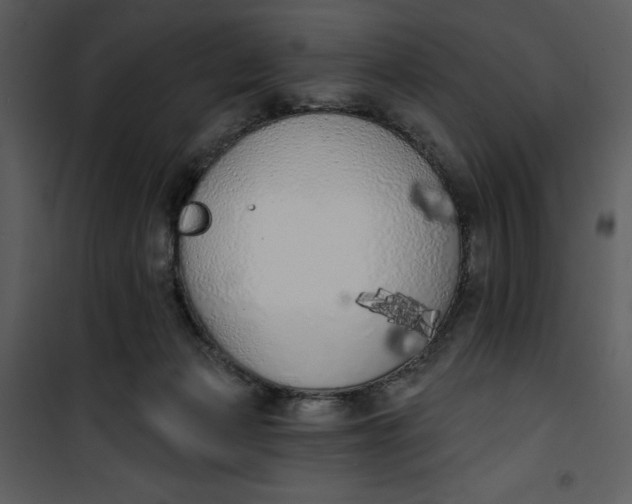 X0000101230173200807181611