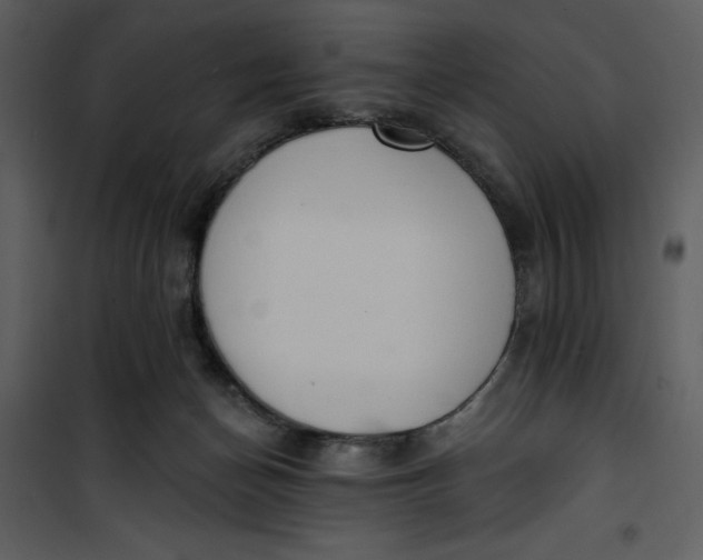 X0000101230174200807181611