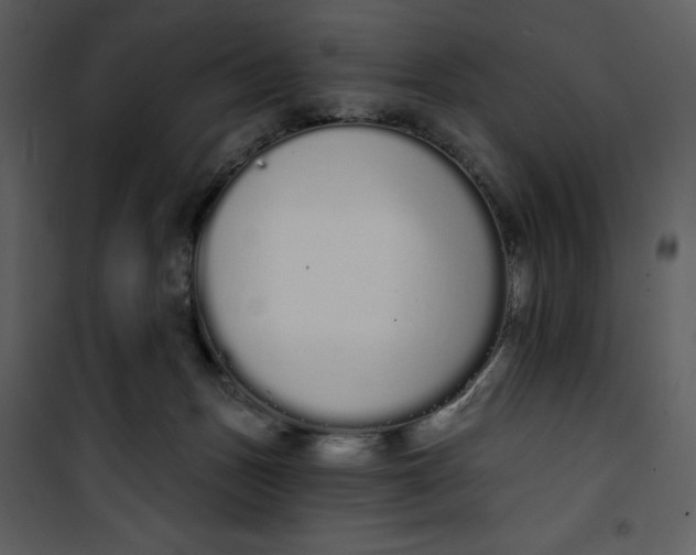 X0000101230175200807181611