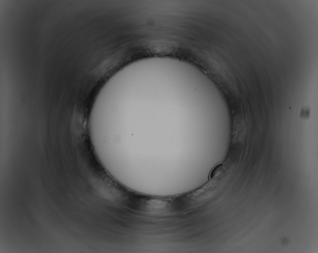 X0000101230176200807181611