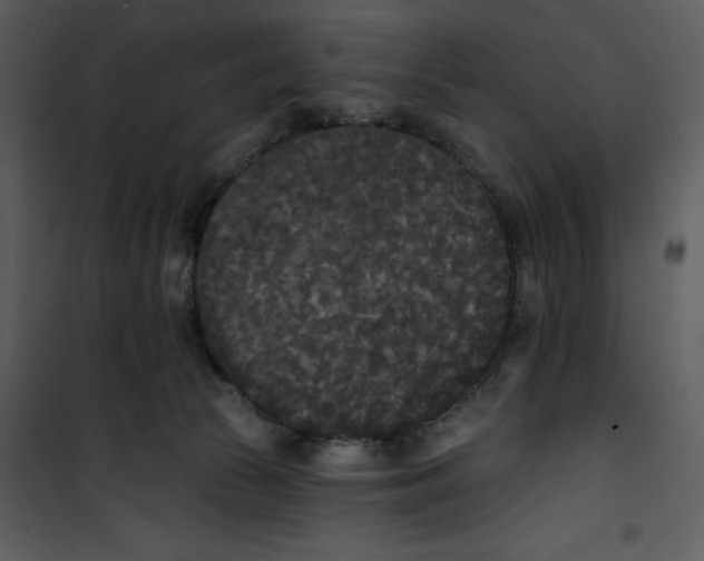 X0000101230177200807181611