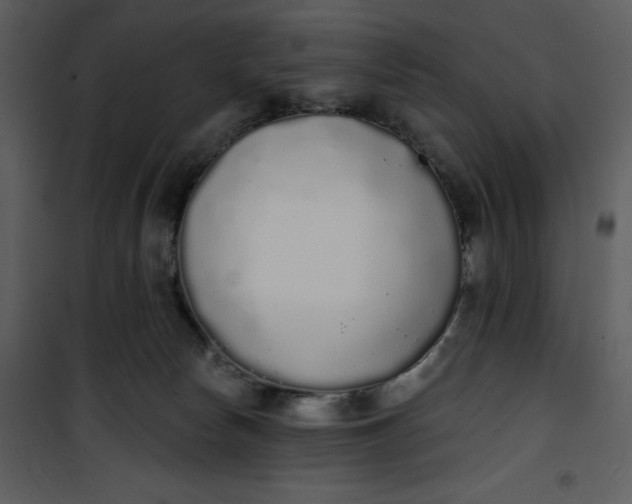 X0000101230178200807181611