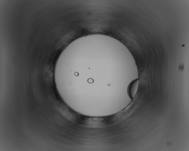 X0000101230179200807181611