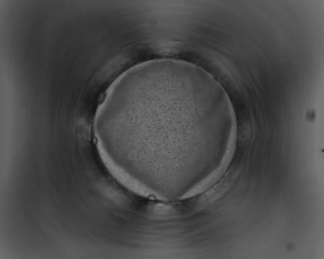 X0000101230180200807181611