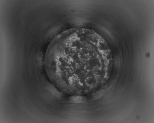 X0000101230181200807181611