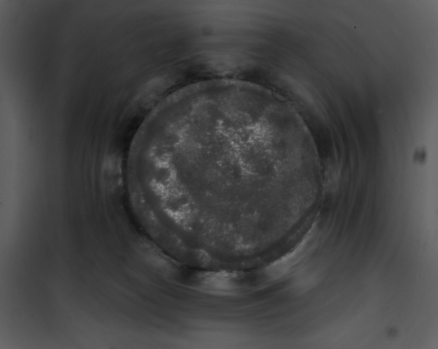 X0000101230182200807181611