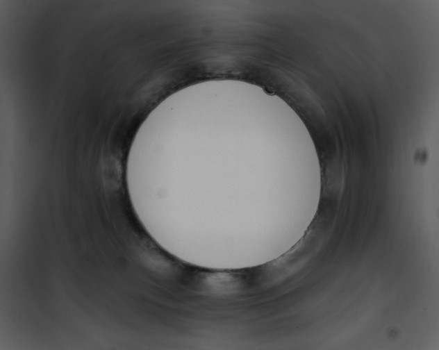 X0000101230183200807181611