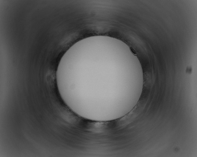 X0000101230184200807181611