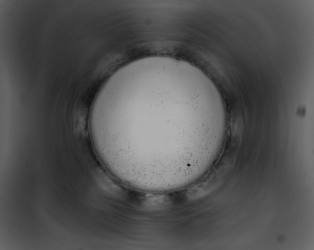 X0000101230185200807181611