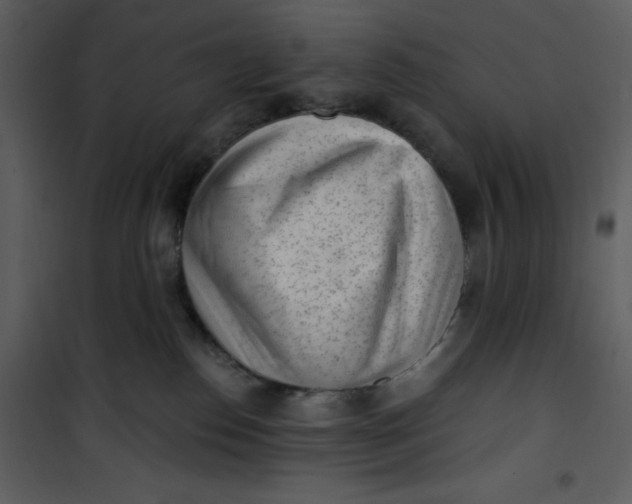 X0000101230186200807181611