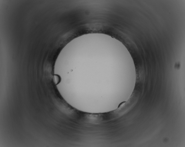 X0000101230187200807181611