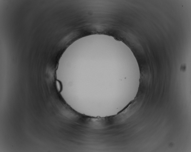 X0000101230188200807181611