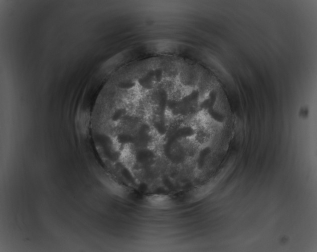 X0000101230189200807181611