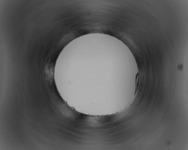 X0000101230190200807181611