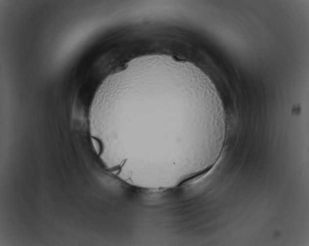 X0000101230191200807181611