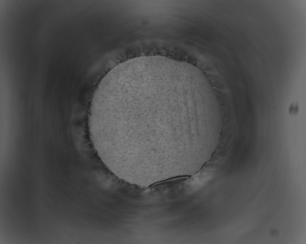 X0000101230192200807181611