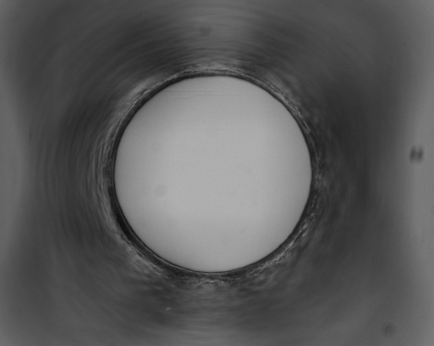 X0000101230193200807181611