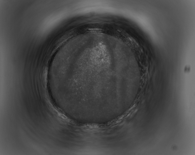 X0000101230194200807181611