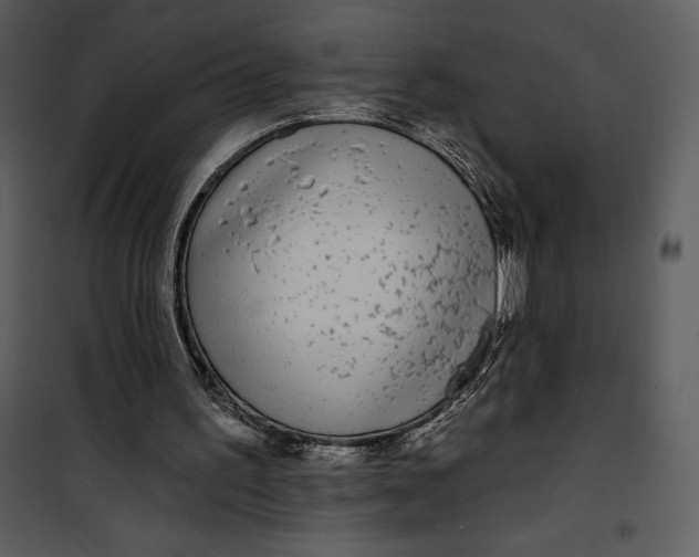 X0000101230195200807181611