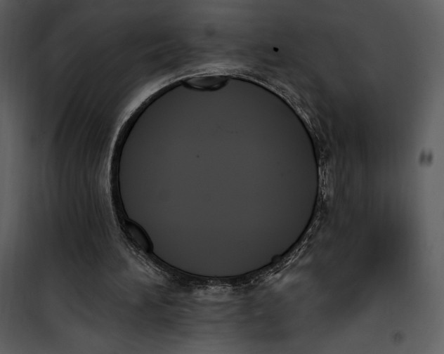 X0000101230196200807181611