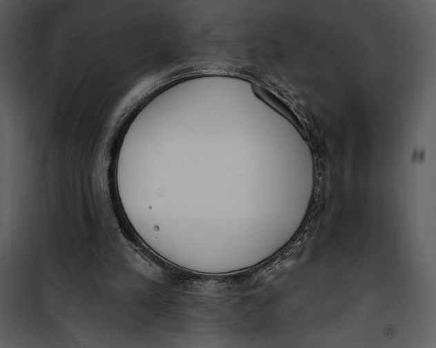 X0000101230197200807181611