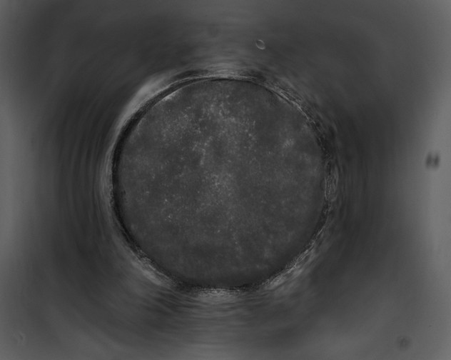 X0000101230198200807181610