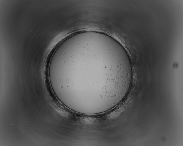 X0000101230199200807181610