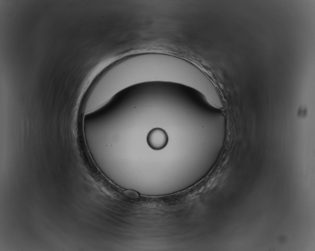 X0000101230200200807181610