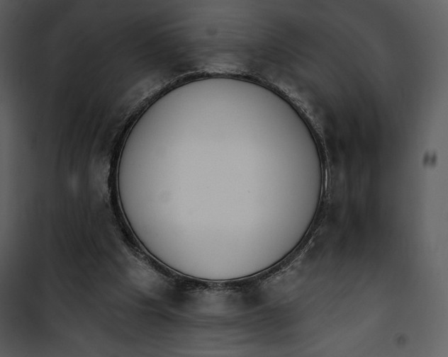 X0000101230201200807181610