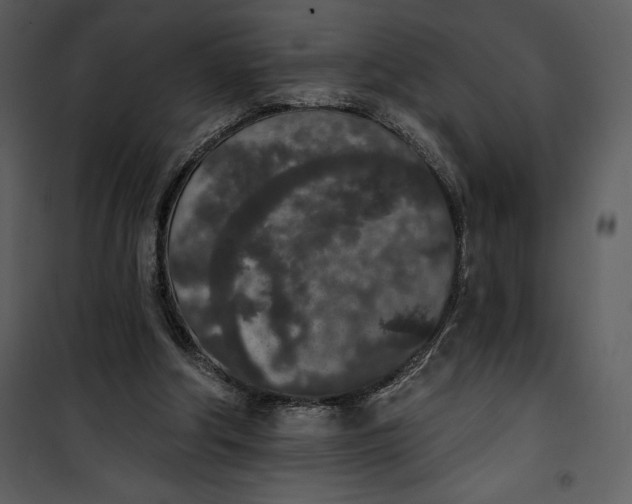 X0000101230202200807181610