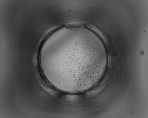 X0000101230203200807181610