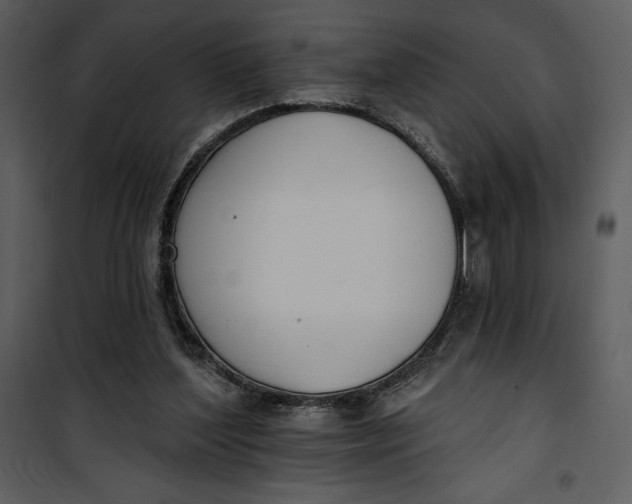 X0000101230204200807181610