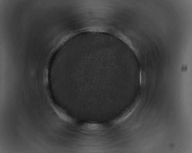 X0000101230205200807181610