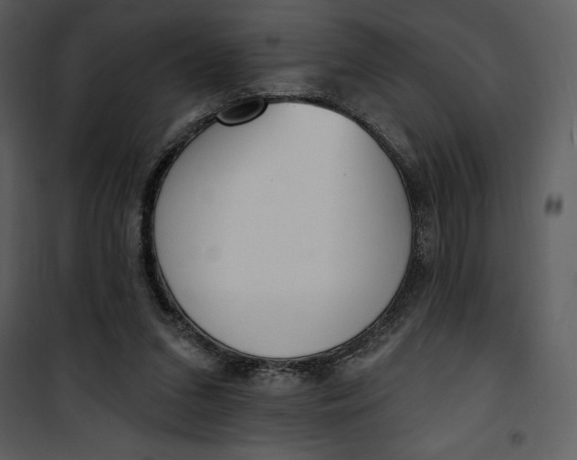 X0000101230207200807181610