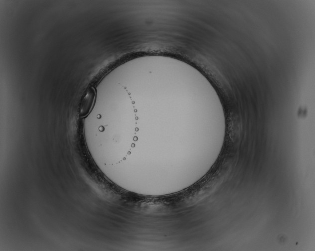 X0000101230208200807181610