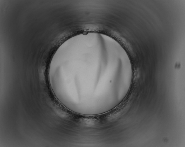 X0000101230209200807181610