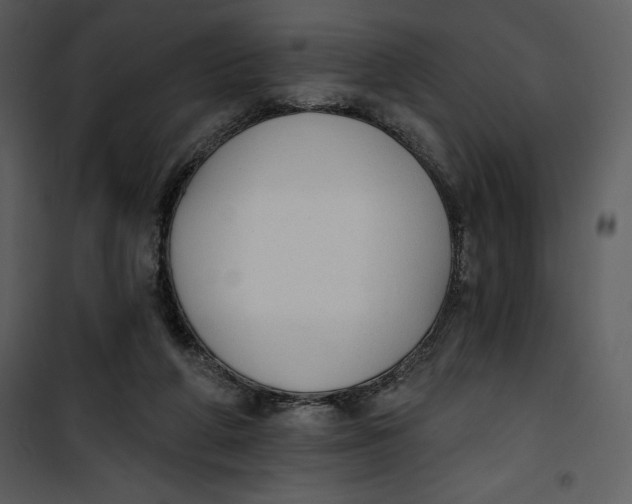 X0000101230210200807181610