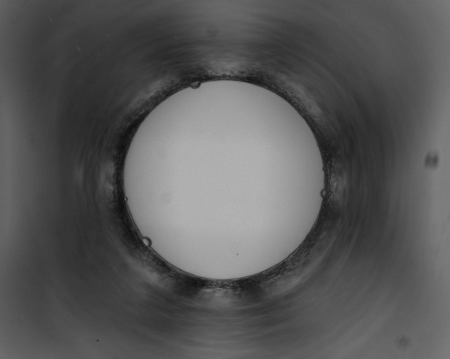 X0000101230211200807181610