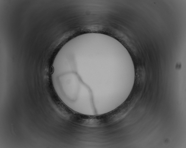 X0000101230212200807181610