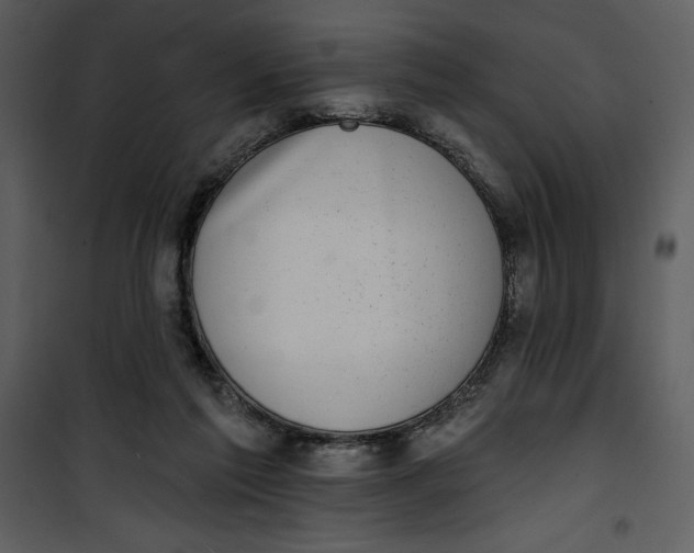 X0000101230213200807181610