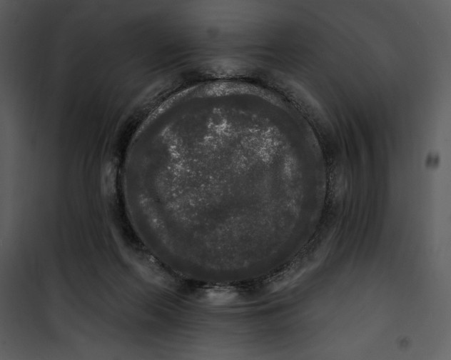 X0000101230214200807181610